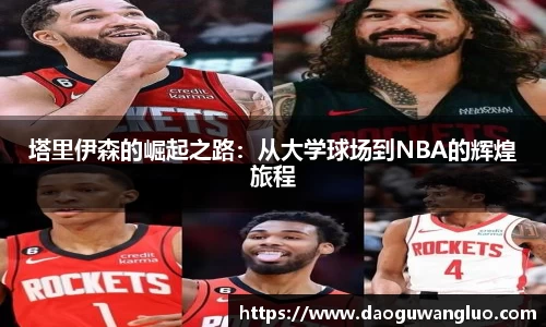 星空.综合体育官网
