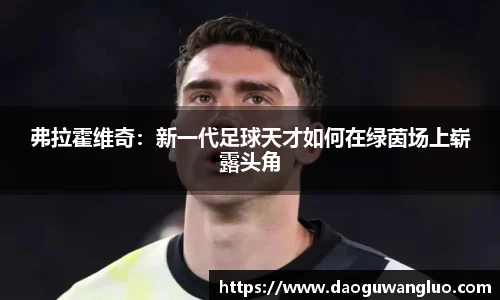 弗拉霍维奇：新一代足球天才如何在绿茵场上崭露头角