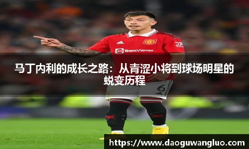 马丁内利的成长之路：从青涩小将到球场明星的蜕变历程
