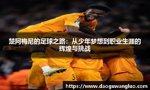 星空.综合体育(中国)官方网站